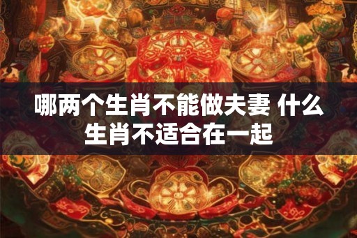 哪两个生肖不能做夫妻 什么生肖不适合在一起