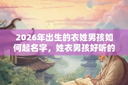 2026年出生的衣姓男孩如何起名字，姓衣男孩好听的名字