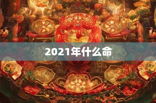 2021年什么命