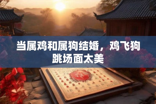 当属鸡和属狗结婚，鸡飞狗跳场面太美