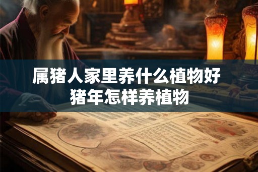 属猪人家里养什么植物好 猪年怎样养植物