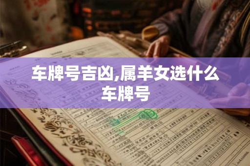 车牌号吉凶,属羊女选什么车牌号