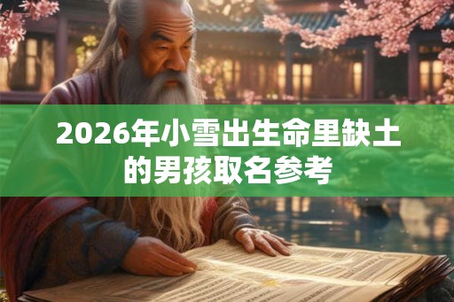 2026年小雪出生命里缺土的男孩取名参考
