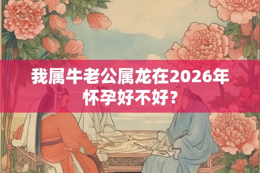 我属牛老公属龙在2026年怀孕好不好？