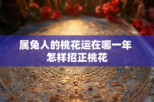 属兔人的桃花运在哪一年 怎样招正桃花 属兔人的桃花运在哪一年 怎样招正桃花