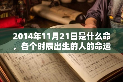 2014年11月21日是什么命，各个时辰出生的人的命运