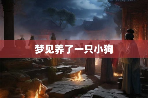 梦见养了一只小狗 梦见养了一只小狗