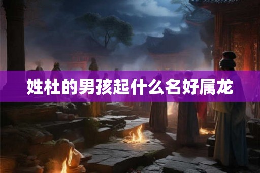 姓杜的男孩起什么名好属龙