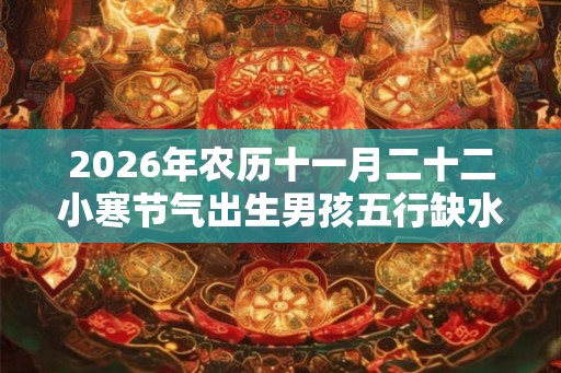 2026年农历十一月二十二小寒节气出生男孩五行缺水取名大全