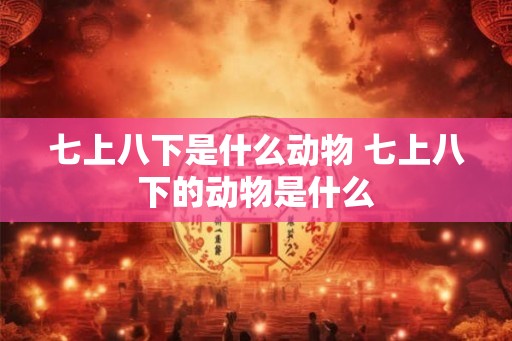 七上八下是什么动物 七上八下的动物是什么