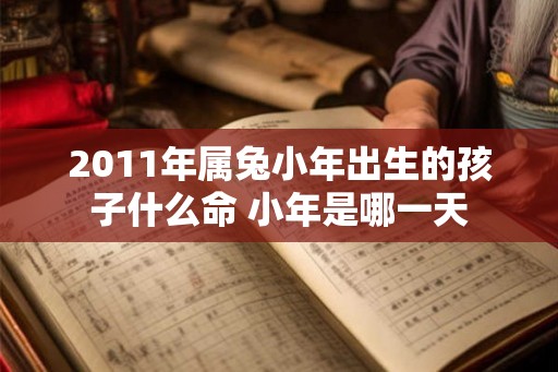2011年属兔小年出生的孩子什么命 小年是哪一天