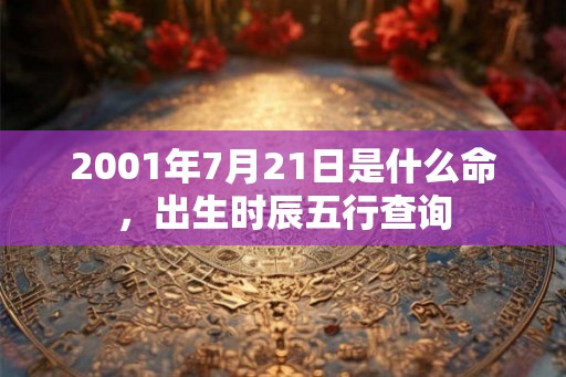 2001年7月21日是什么命,出生时辰五行查询 2001年7月21日是什么命,出生时辰五行查询