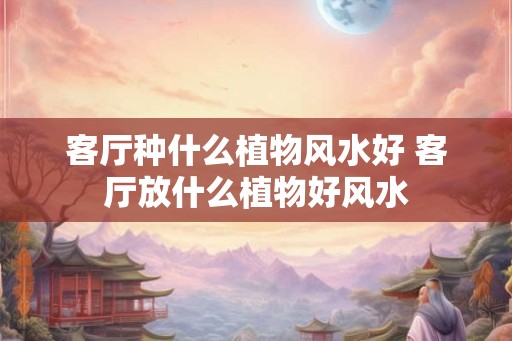 客厅种什么植物风水好 客厅放什么植物好风水