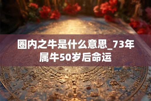 圈内之牛是什么意思_73年属牛50岁后命运