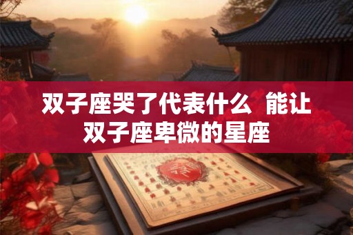 双子座哭了代表什么 能让双子座卑微的星座 双子座哭了代表什么 能让双子座卑微的星座