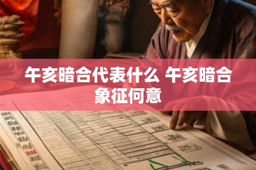 午亥暗合代表什么 午亥暗合象征何意