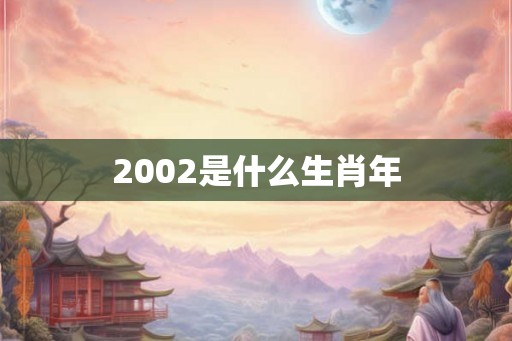 2002是什么生肖年