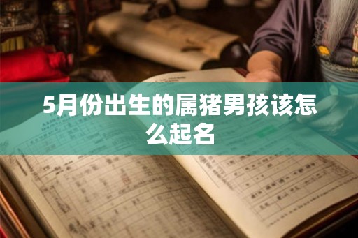 5月份出生的属猪男孩该怎么起名