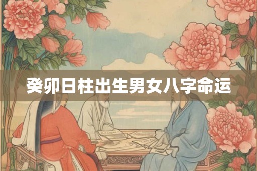 癸卯日柱出生男女八字命运