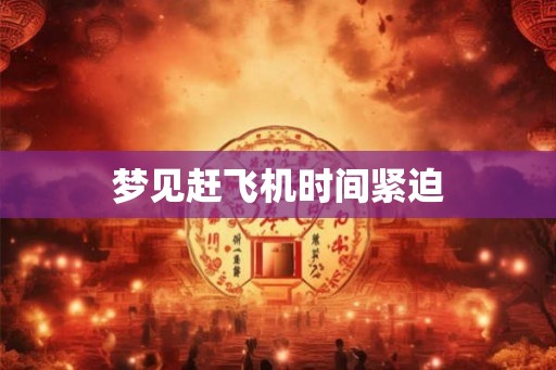 梦见赶飞机时间紧迫