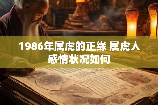 1986年属虎的正缘 属虎人感情状况如何 1986年属虎的正缘 属虎人感情状况如何