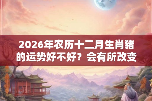 2026年农历十二月生肖猪的运势好不好？会有所改变吗？