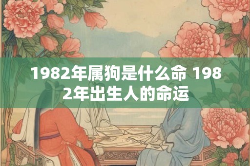 1982年属狗是什么命 1982年出生人的命运