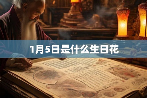 1月5日是什么生日花