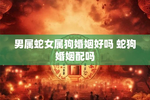 男属蛇女属狗婚姻好吗 蛇狗婚姻配吗 男属蛇女属狗婚姻好吗 蛇狗婚姻配吗