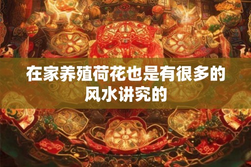 在家养殖荷花也是有很多的风水讲究的