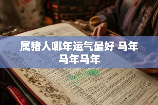 属猪人哪年运气最好 马年马年马年