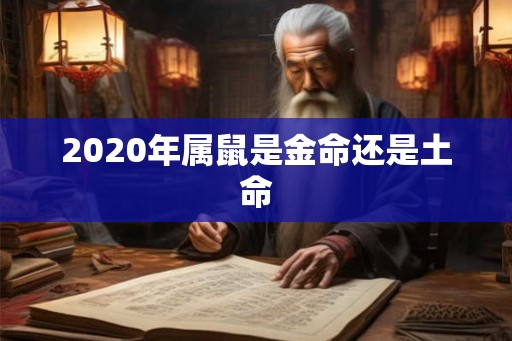 2020年属鼠是金命还是土命 2020年属鼠是金命还是土命