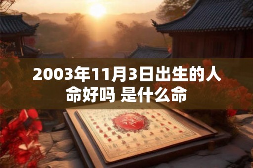 2003年11月3日出生的人命好吗 是什么命