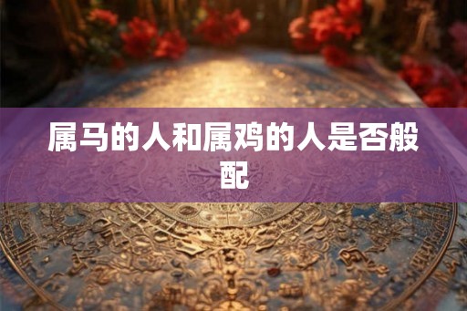 属马的人和属鸡的人是否般配