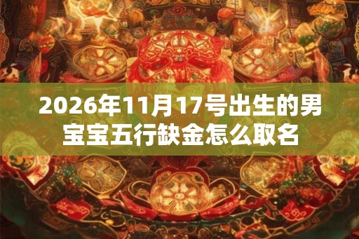 2026年11月17号出生的男宝宝五行缺金怎么取名