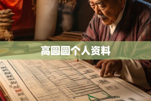 高圆圆个人资料