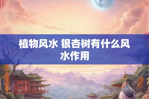 植物风水 银杏树有什么风水作用