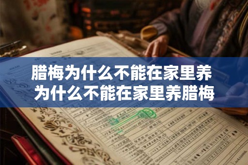 腊梅为什么不能在家里养 为什么不能在家里养腊梅 腊梅为什么不能在家里养 为什么不能在家里养腊梅