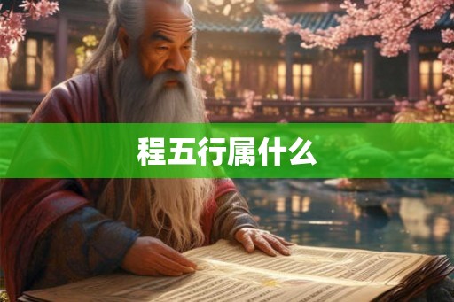 程五行属什么