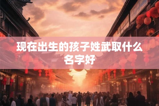 现在出生的孩子姓武取什么名字好