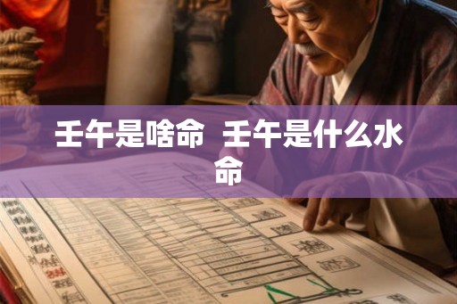 壬午是啥命  壬午是什么水命
