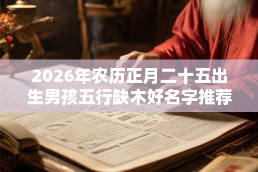 2026年农历正月二十五出生男孩五行缺木好名字推荐
