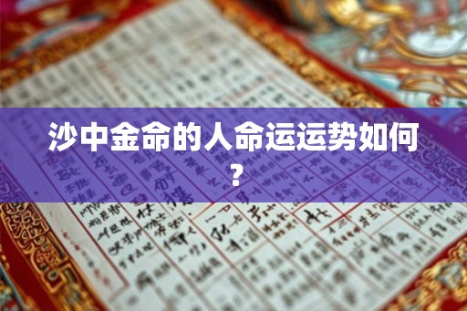沙中金命的人命运运势如何？