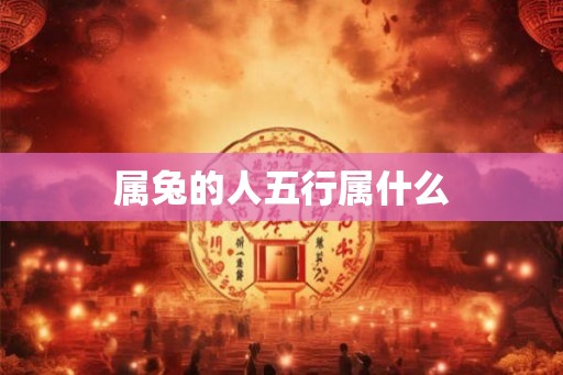 属兔的人五行属什么