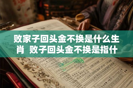 败家子回头金不换是什么生肖  败子回头金不换是指什么生肖