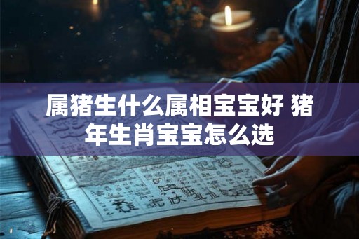 属猪生什么属相宝宝好 猪年生肖宝宝怎么选