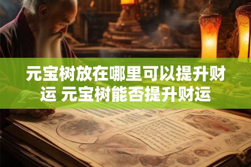 元宝树放在哪里可以提升财运 元宝树能否提升财运