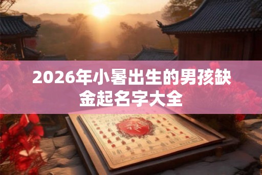 2026年小暑出生的男孩缺金起名字大全