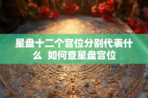 星盘十二个宫位分别代表什么  如何查星盘宫位