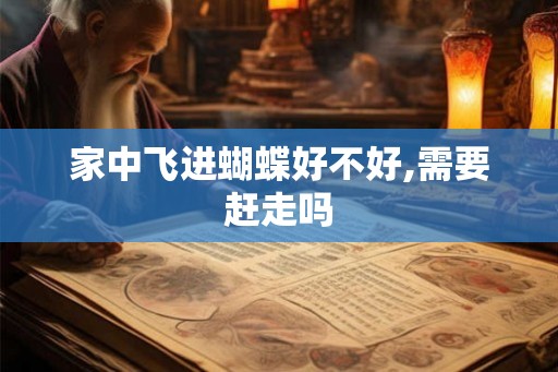 家中飞进蝴蝶好不好,需要赶走吗 家中飞进蝴蝶好不好,需要赶走吗
